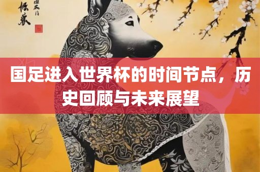 国足进入世界杯的时间节点，历史回顾与未来展望