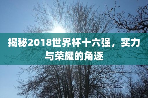 揭秘2018世界杯十六强，实力与荣耀的角逐