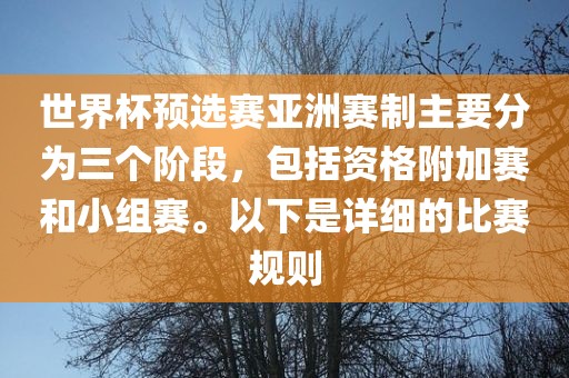 世界杯预选赛亚洲赛制主要分为三个阶段，包括资格附加赛和小组赛。以下是详细的比赛规则