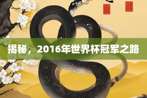 揭秘，2016年世界杯冠军之路