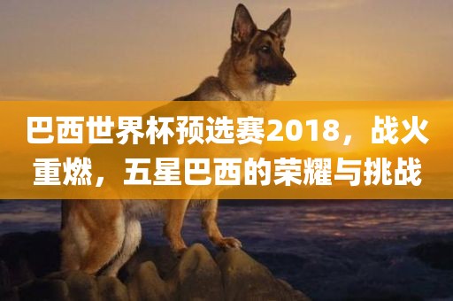 巴西世界杯预选赛2018，战火重燃，五星巴西的荣耀与挑战金炬实业股份有限公司