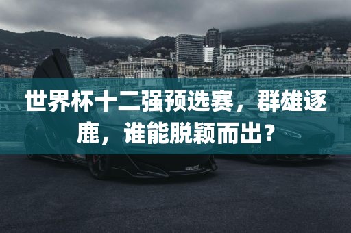 世界杯十二强预选赛，群雄逐鹿，谁能脱颖而出？金炬实业股份有限公司