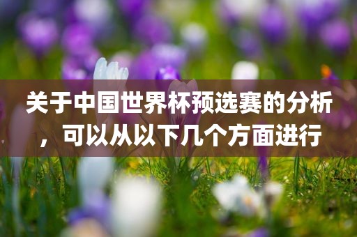 关于中国世界杯预选赛的分析，可以从以下几个方面进行
