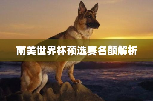 南美世界杯预选赛名额解析