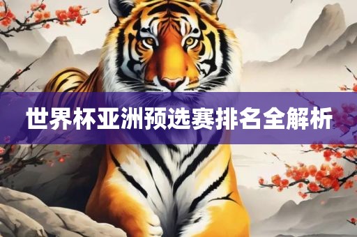 世界杯亚洲预选赛排名全解析