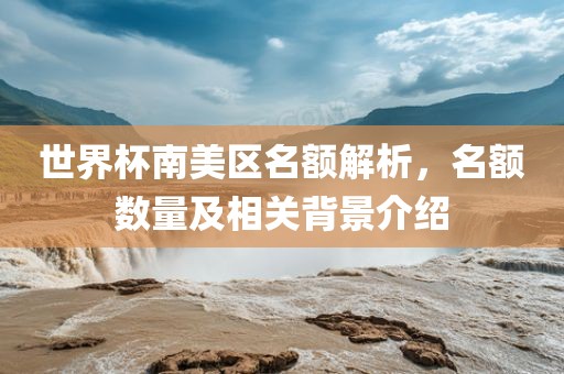 世界杯南美区名额解析，名额数量及相关背景介绍