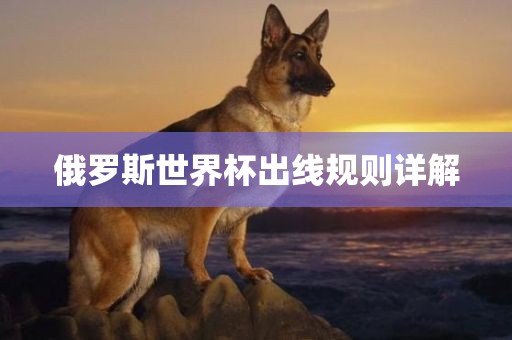 俄罗斯世界杯出线规则详解