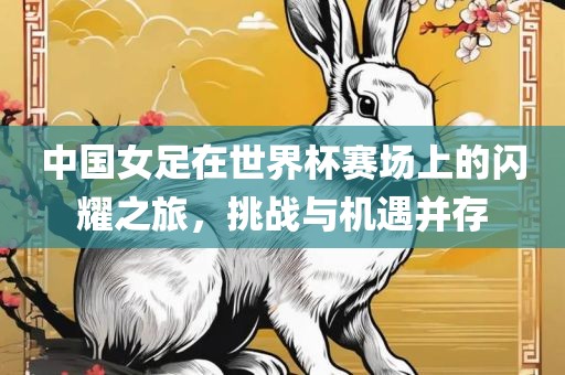 中国女足在世界杯赛场上的闪耀之旅，挑战与机遇并存