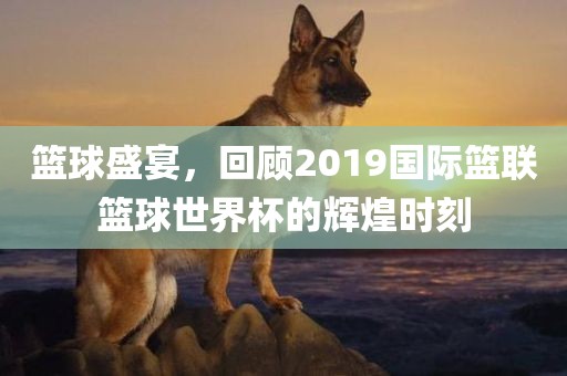 篮球盛宴，回顾2019国际篮联篮球世界杯的辉煌时刻金炬实业股份有限公司