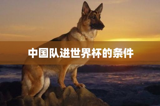 中国队进世界杯的条件