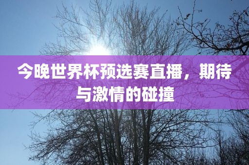 今晚世界杯预选赛直播，期待与激情的碰撞