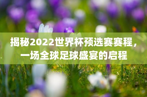 揭秘2022世界杯预选赛赛程，一场全球足球盛宴的启程