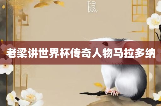 老梁讲世界杯传奇人物马拉多纳金炬实业股份有限公司