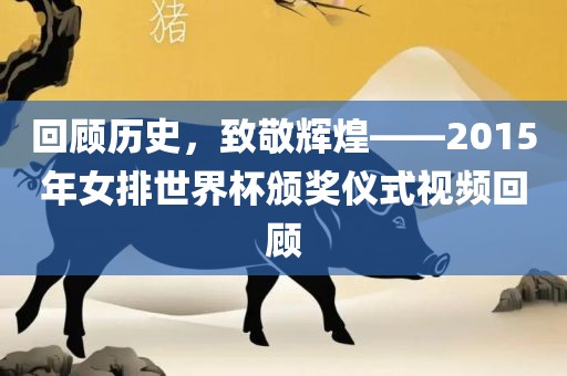 回顾历史，致敬辉煌——2015年女排世界杯颁奖仪式视频回顾