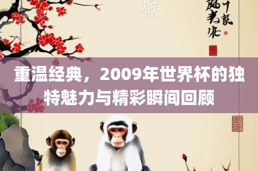 重温经典，2009年世界杯的独特魅力与精彩瞬间回顾