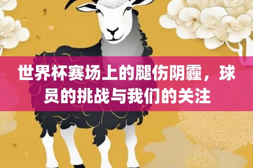世界杯赛场上的腿伤阴霾，球员的挑战与我们的关注金炬实业股份有限公司