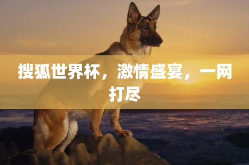 搜狐世界杯，激情盛宴，一网打尽