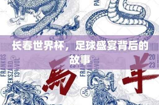 长春世界杯，足球盛宴背后的故事金炬实业股份有限公司