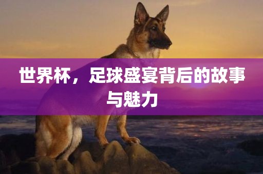世界杯，足球盛宴背后的故事与魅力