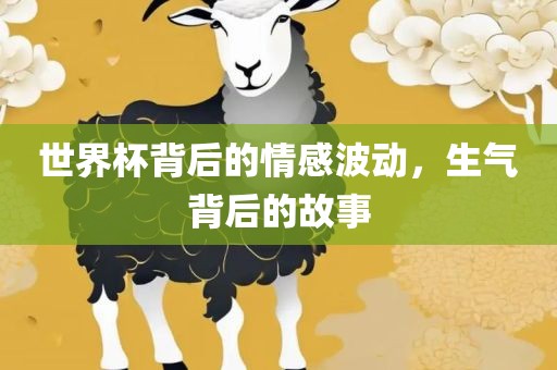 世界杯背后的情感波动，生气背后的故事金炬实业股份有限公司