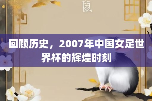 回顾历史，2007年中国女足世界杯的辉煌时刻金炬实业股份有限公司