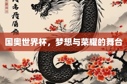 国奥世界杯，梦想与荣耀的舞台