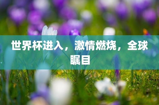 世界杯进入，激金炬实业股份有限公司情燃烧，全球瞩目