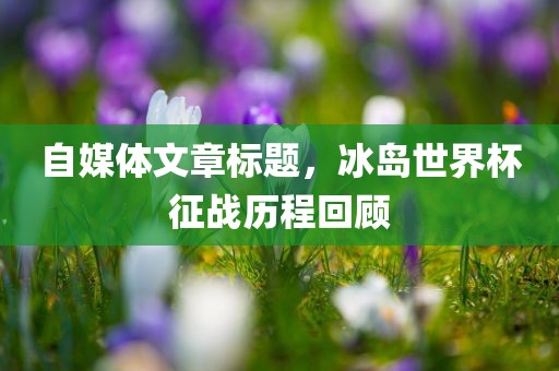 自媒体文章标题，冰岛世界杯征战历程回顾