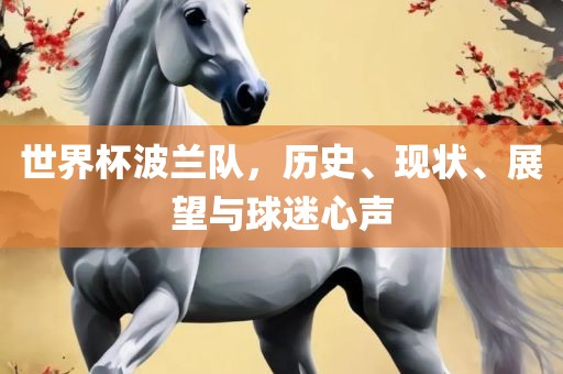 世界杯波兰队，历史、现状、展望与球迷心声金炬实业股份有限公司