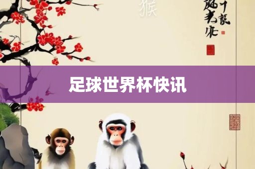 足球世界杯快讯金炬实业股份有限公司