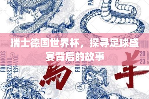 瑞士德国世界杯，探寻足球盛宴背后的故事