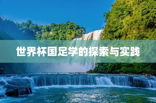 世界杯国足学的探索与实践