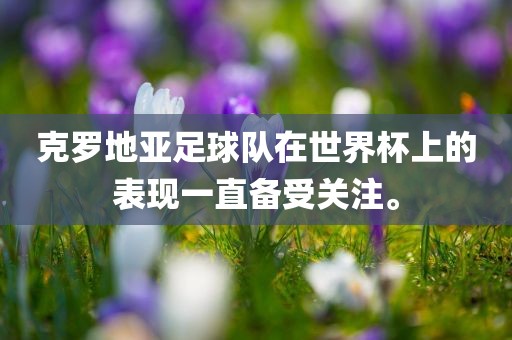 克罗地亚足球队在世界杯上的表现一直备受关注。