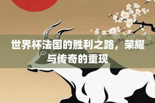 世界杯法国的胜利之路，荣耀与传奇的重现