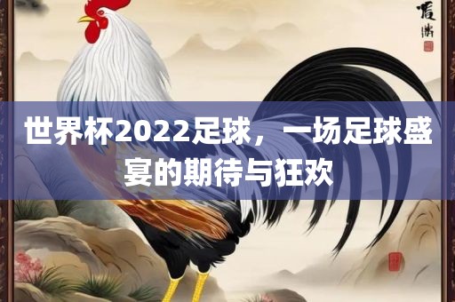世界杯2022足球，一场足球盛宴的期待与狂欢金炬实业股份有限公司