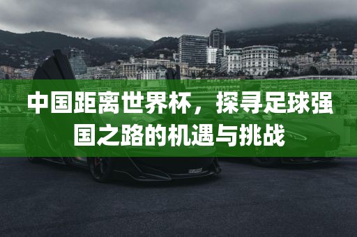 中国距离世界杯，探寻足球强国之路的机遇与挑战