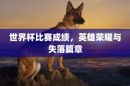 世界杯比赛成绩，英雄荣耀与失落篇章金炬实业股份有限公司