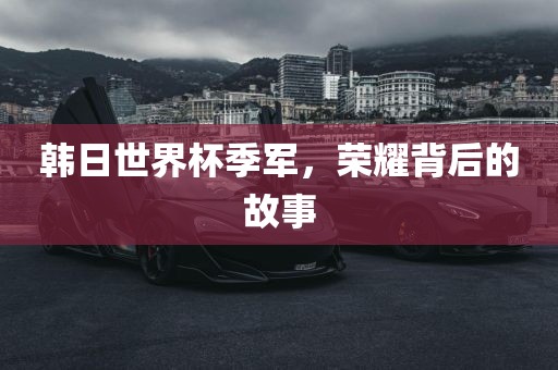 韩日世界杯季军，荣耀背后的故事