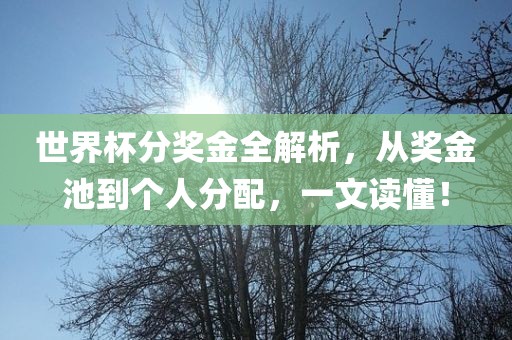 世界杯分奖金全解析，从奖金池到个人分配，一文读懂！
