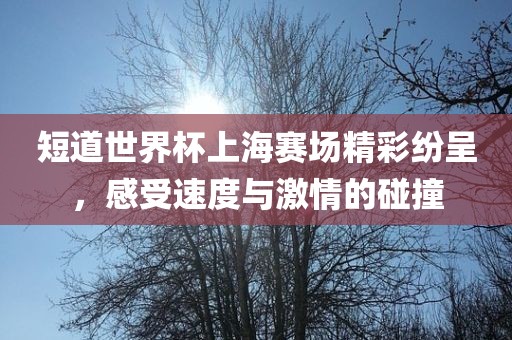 短道世界杯上海赛场精彩纷呈，感受速度与激情的碰撞