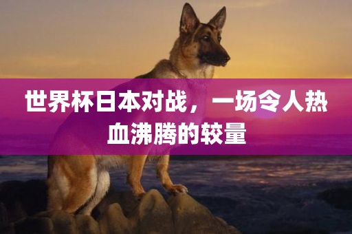 世界杯日本对战，一场令人热血沸腾的较量金炬实业股份有限公司