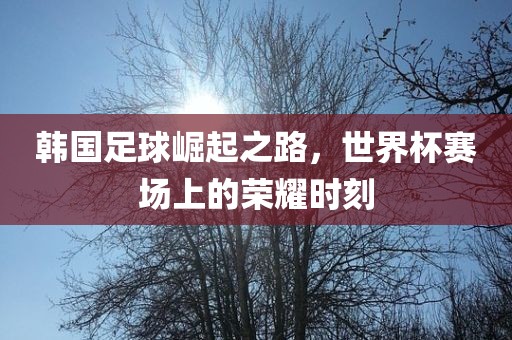 韩国足球崛起之路，世界杯赛场上的荣耀时刻