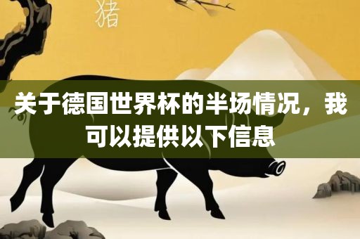 关于德国世界杯的半场情况，我可以提供以下信息金炬实业股份有限公司