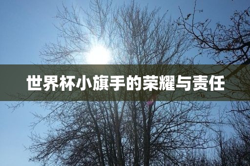 世界杯小旗手的荣耀与责任金炬实业股份有限公司