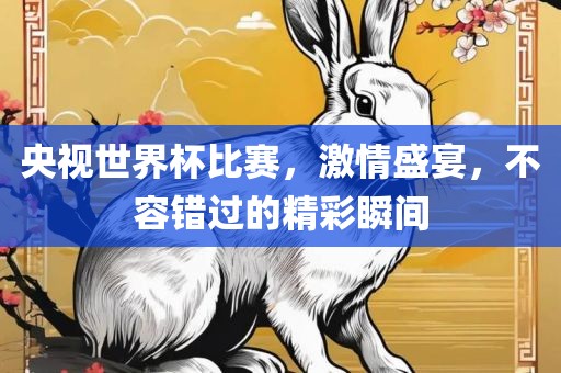 央视世界金炬实业股份有限公司杯比赛，激情盛宴，不容错过的精彩瞬间