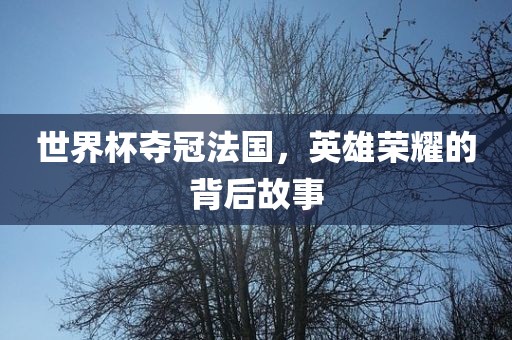 世界杯夺冠法国，英雄荣耀的背后故事