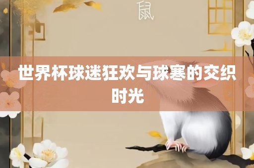 世界杯球迷狂欢与球寒的交织时光金炬实业股份有限公司