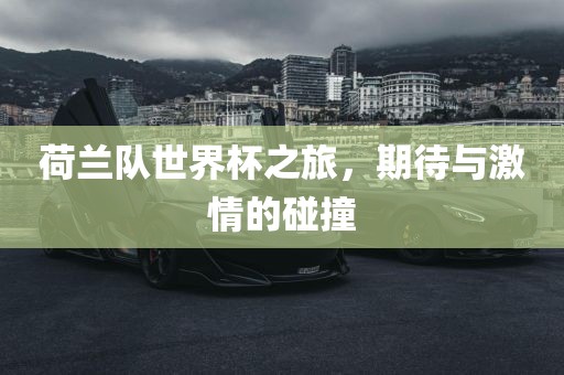 荷兰队金炬实业股份有限公司世界杯之旅，期待与激情的碰撞