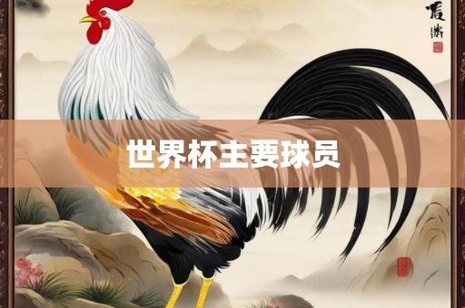 世界杯主要球员