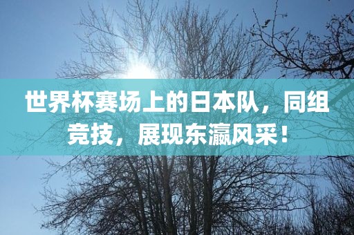 世界杯赛场上的日本队，同组竞技，展现东瀛风采！